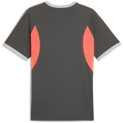 PUMA IndividualLIGA Graphic Trikot Herren 10 - shadow gray/puma white/glowing red XXL