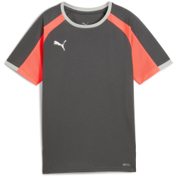 PUMA IndividualLIGA Trikot Kinder 10 - shadow gray/puma...