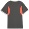 PUMA IndividualLIGA Trikot Kinder 10 - shadow gray/puma white/glowing red 116