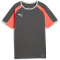 PUMA IndividualLIGA Trikot Kinder 10 - shadow gray/puma white/glowing red 128