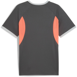 PUMA IndividualLIGA Trikot Herren 10 - shadow gray/puma...