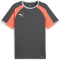 PUMA IndividualLIGA Trikot Herren 10 - shadow gray/puma white/glowing red S