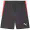 PUMA IndividualLIGA Trainingsshorts 2 mit offenen Taschen Herren 10 - shadow gray/puma white/glowing red S