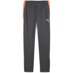 PUMA IndividualLIGA Trainingshose Kinder 10 - shadow...