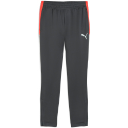 PUMA IndividualLIGA Trainingshose Herren 10 - shadow...