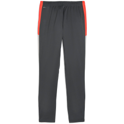 PUMA IndividualLIGA Trainingshose Herren 10 - shadow...