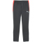 PUMA IndividualLIGA Trainingshose Herren 10 - shadow gray/puma white/glowing red XL