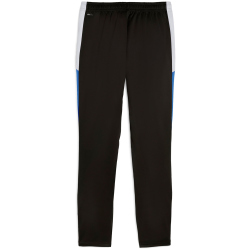 PUMA IndividualLIGA Trainingshose Herren 09 - PUMA...