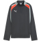 PUMA IndividualLIGA 1/4-Zip Trainings-Top Kinder 10 - shadow gray/puma white/glowing red 128