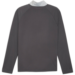 PUMA IndividualLIGA 1/4-Zip Trainings-Top Herren 10 -...