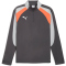 PUMA IndividualLIGA 1/4-Zip Trainings-Top Herren 10 - shadow gray/puma white/glowing red S