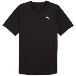 PUMA Run Velocity Triblend Laufshirt Herren 01 - PUMA...