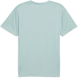 PUMA Tad Essential Heather Large Cat Trainingsshirt...