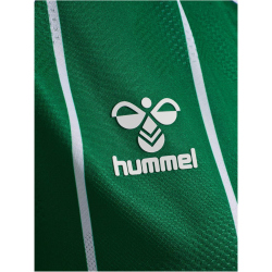 hummel SV Werder Bremen Heimtrikot 2025/26 Damen