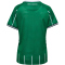 hummel SV Werder Bremen Heimtrikot 2025/26 Damen