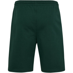 hummel SV Werder Bremen Travel Sweatshorts