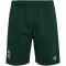 hummel SV Werder Bremen Travel Sweatshorts