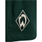 hummel SV Werder Bremen Travel Sweatshorts