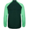 hummel SV Werder Bremen Trainingsjacke