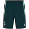 hummel SV Werder Bremen Staff Trainingsshorts