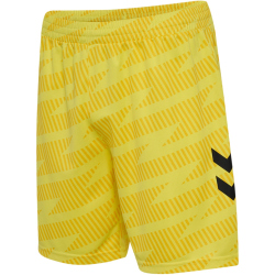 hummel SV Werder Bremen Torwartshorts 2025/26