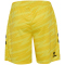 hummel SV Werder Bremen Torwartshorts 2025/26