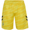 hummel SV Werder Bremen Torwartshorts 2025/26