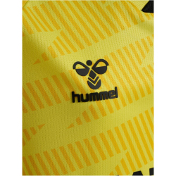 hummel SV Werder Bremen Torwarttrikot 2025/26 Kinder
