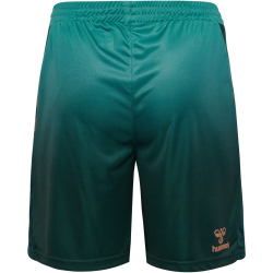 hummel SV Werder Bremen Ausweichshorts 2025/26
