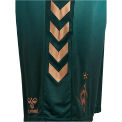 hummel SV Werder Bremen Ausweichshorts 2025/26