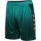 hummel SV Werder Bremen Ausweichshorts 2025/26