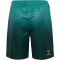 hummel SV Werder Bremen Ausweichshorts 2025/26
