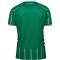 hummel SV Werder Bremen Heimtrikot 2025/26