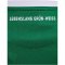 hummel SV Werder Bremen Heimtrikot 2025/26 Damen 6801 - abundant green S