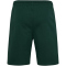 hummel SV Werder Bremen Travel Sweatshorts 6460 - pine grove wo sponsor S