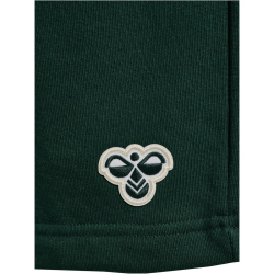 hummel SV Werder Bremen Travel Sweatshorts 6460 - pine grove wo sponsor M