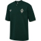 hummel SV Werder Bremen Travel Poloshirt 6460 - pine grove wo sponsor M