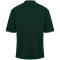 hummel SV Werder Bremen Travel Poloshirt 6460 - pine grove wo sponsor M