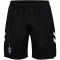 hummel SV Werder Bremen Torwartshorts 2025/26 2001 - black M