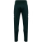 hummel SV Werder Bremen Staff Trainingshose 6460 - pine grove wo sponsor S