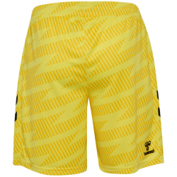 hummel SV Werder Bremen Torwartshorts 2025/26 5269 -...
