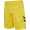 hummel SV Werder Bremen Torwartshorts 2025/26 5269 - blazing yellow L