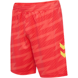 hummel SV Werder Bremen Torwartshorts 2025/26 3436 - hot...