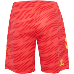 hummel SV Werder Bremen Torwartshorts 2025/26 3436 - hot...