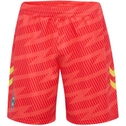 hummel SV Werder Bremen Torwartshorts 2025/26 3436 - hot...
