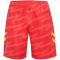 hummel SV Werder Bremen Torwartshorts 2025/26 3436 - hot coral L