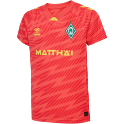 hummel SV Werder Bremen Torwarttrikot 2025/26 Kinder 3436...