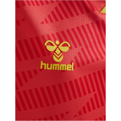 hummel SV Werder Bremen Torwarttrikot 2025/26 Kinder 3436...
