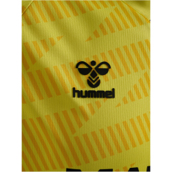 hummel SV Werder Bremen Torwarttrikot 2025/26 5269 -...