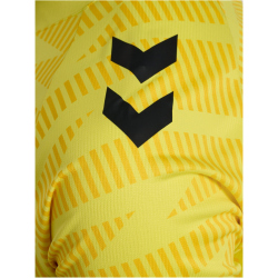 hummel SV Werder Bremen Torwarttrikot 2025/26 5269 -...
